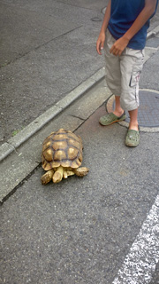 photo_20120722_01.jpg