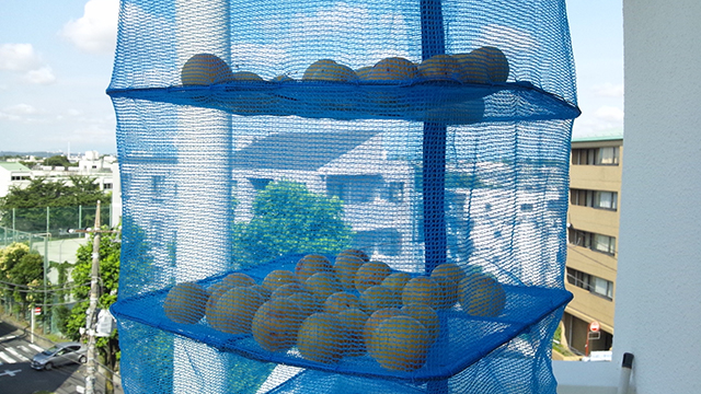 photo_20130702_01.jpg