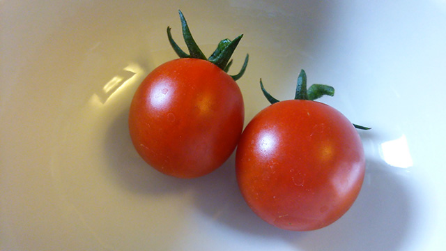 tomato08.jpg